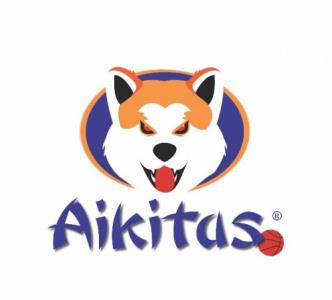 Aikitas Basket Fijaciones